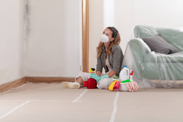 Reliable Basement Mold Removal contractor in Goldvein, VA by WQB Mold Removal